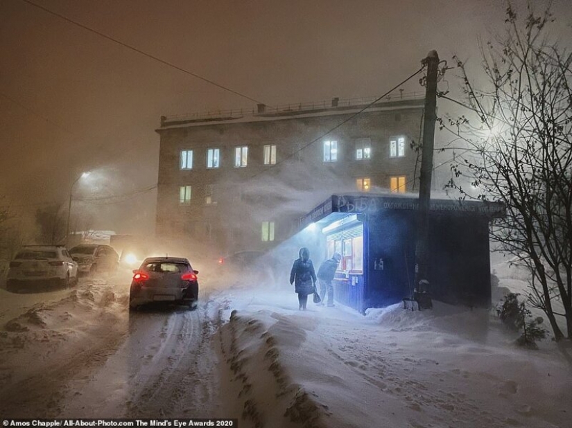 The best works from the contest Photo Award AllAbout 2020 The best works from the contest Photo Award AllAbout 2020