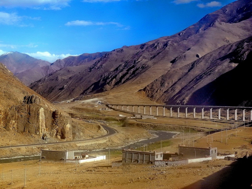 The Chinese built a railroad to Tibet