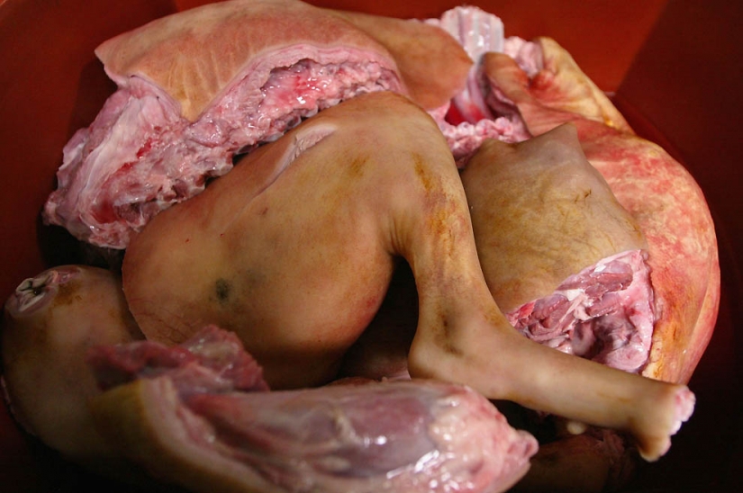 The dogs in Korean cuisine