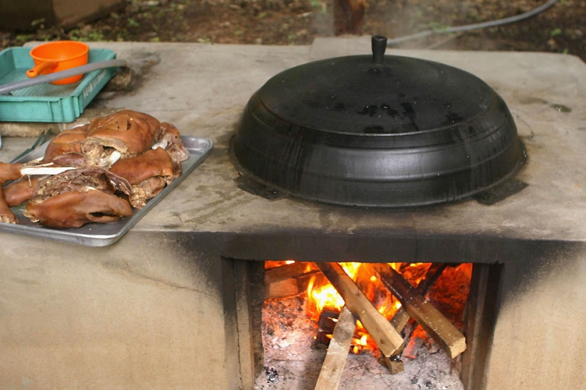 The dogs in Korean cuisine