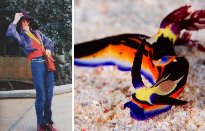 The great David Bowie and his counterparts, sea slugs