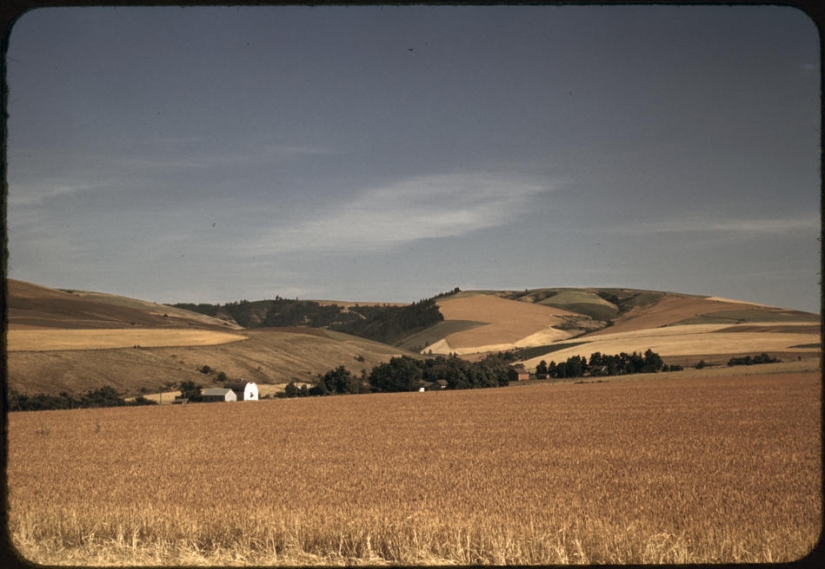 The great depression in the United States in color