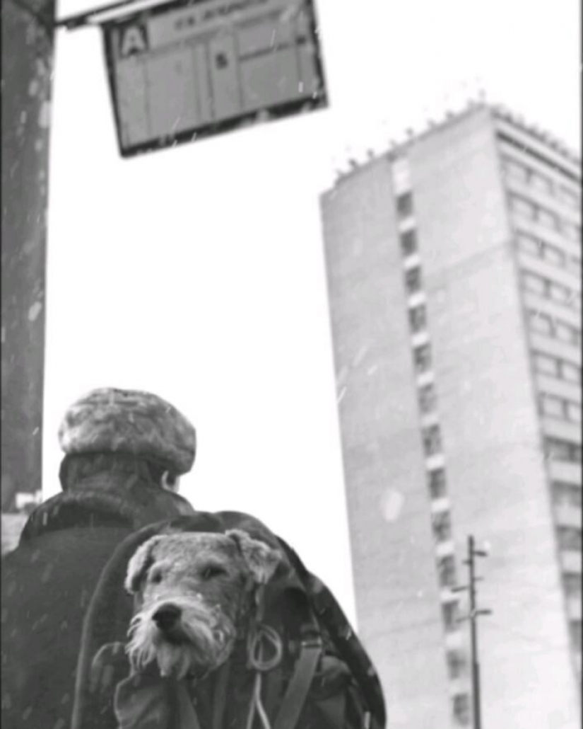 The guy from Riga breathes life into an old Soviet photo, forcing them to move