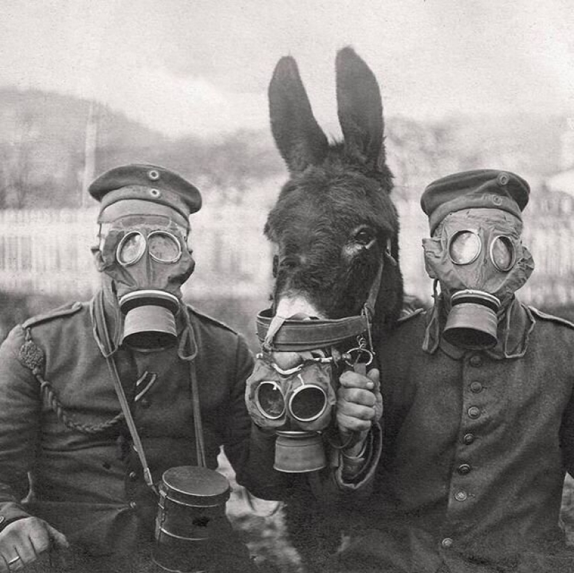 The guy from Riga breathes life into an old Soviet photo, forcing them to move