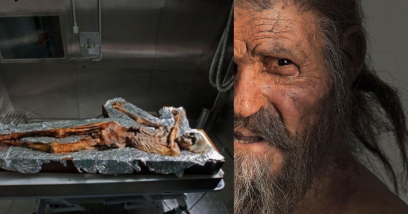The "ice man", the oldest mummy found in Europe The "ice man", the oldest mummy found in Europe