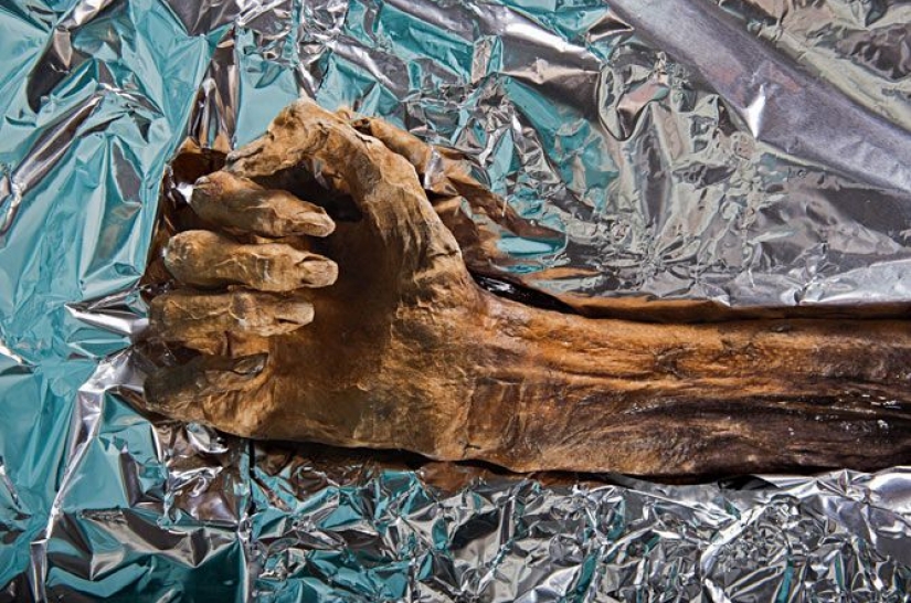 The "ice man", the oldest mummy found in Europe The "ice man", the oldest mummy found in Europe