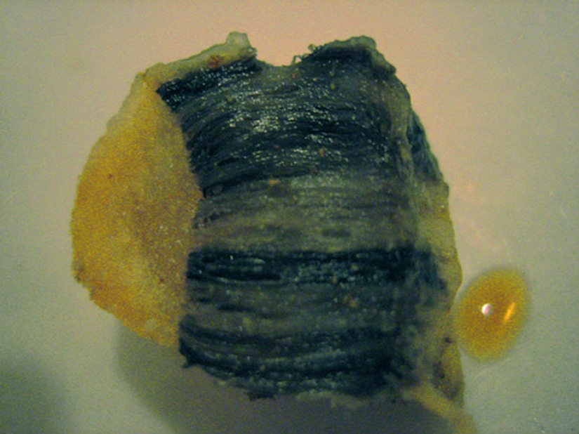 The Icelandic national cuisine is not for wimps The Icelandic national cuisine is not for wimps