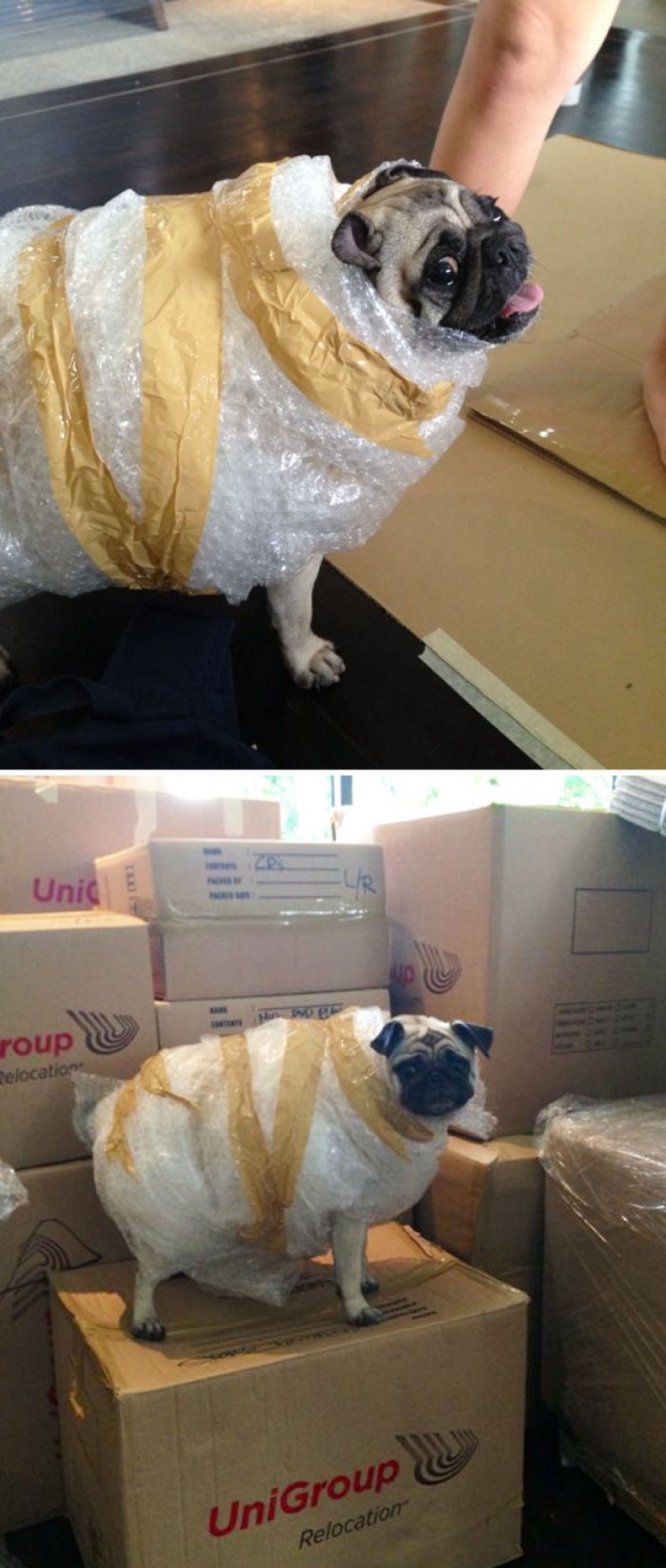 The jokes and pranks of brothers and sisters that want to kill The jokes and pranks of brothers and sisters that want to kill