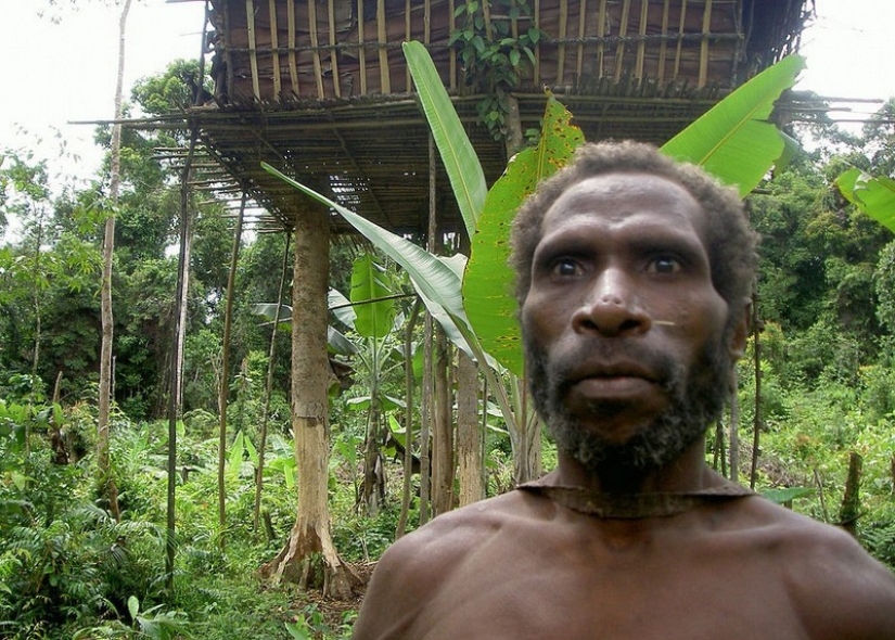 The korowai people: people living on trees The korowai people: people living on trees
