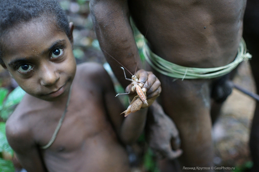 The korowai people: people living on trees The korowai people: people living on trees