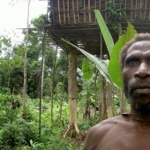 The korowai people: people living on trees