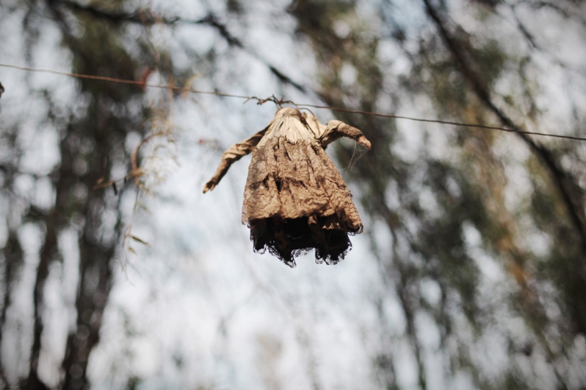 The legend of Doll island The legend of Doll island