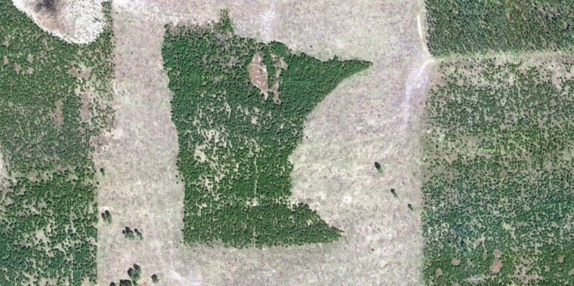 The monuments, which produce oxygen