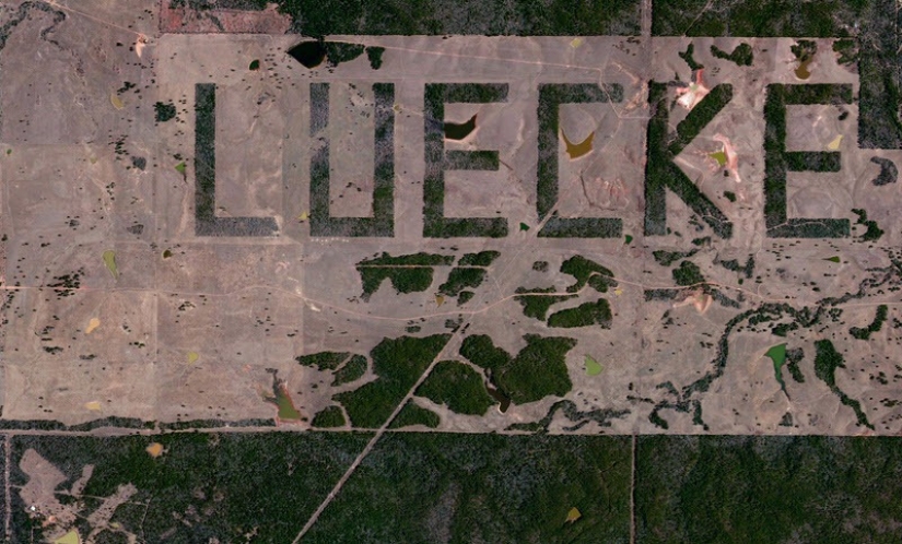 The monuments, which produce oxygen