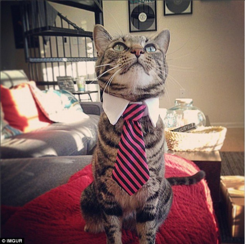 The most idiotic drunken things according to Reddit users The most idiotic drunken things according to Reddit users