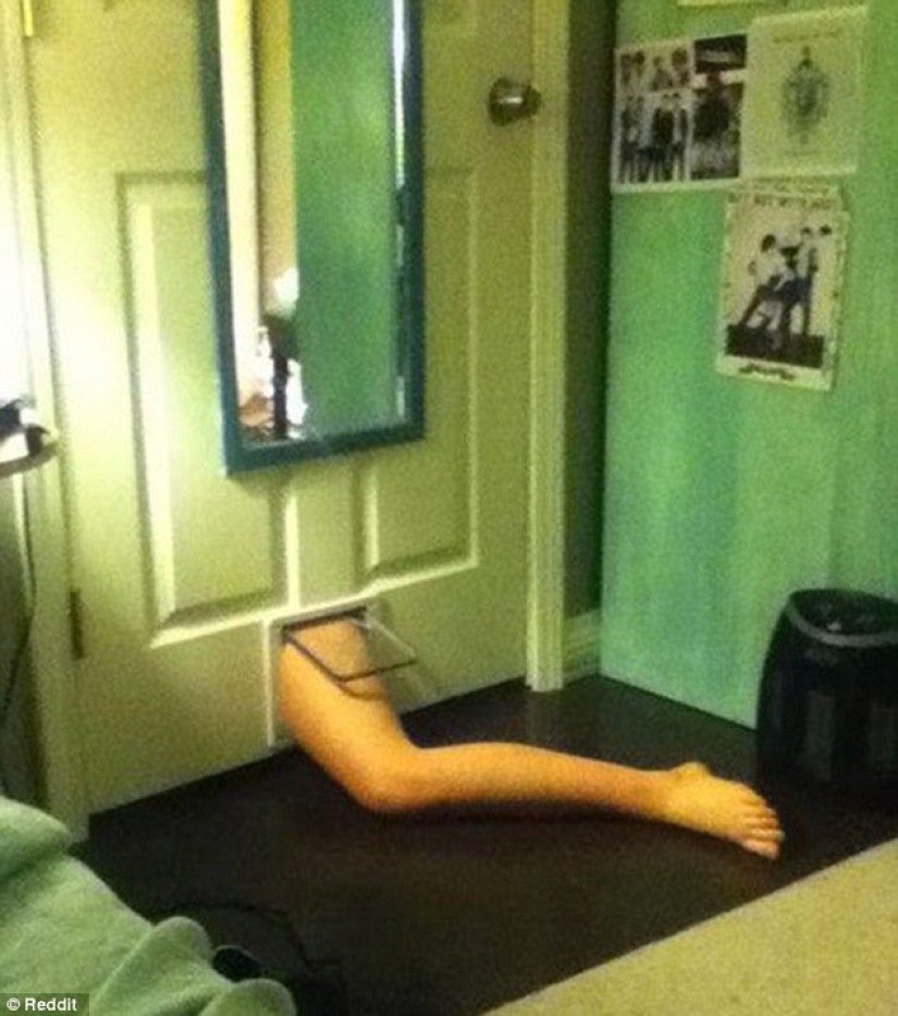 The most idiotic drunken things according to Reddit users The most idiotic drunken things according to Reddit users