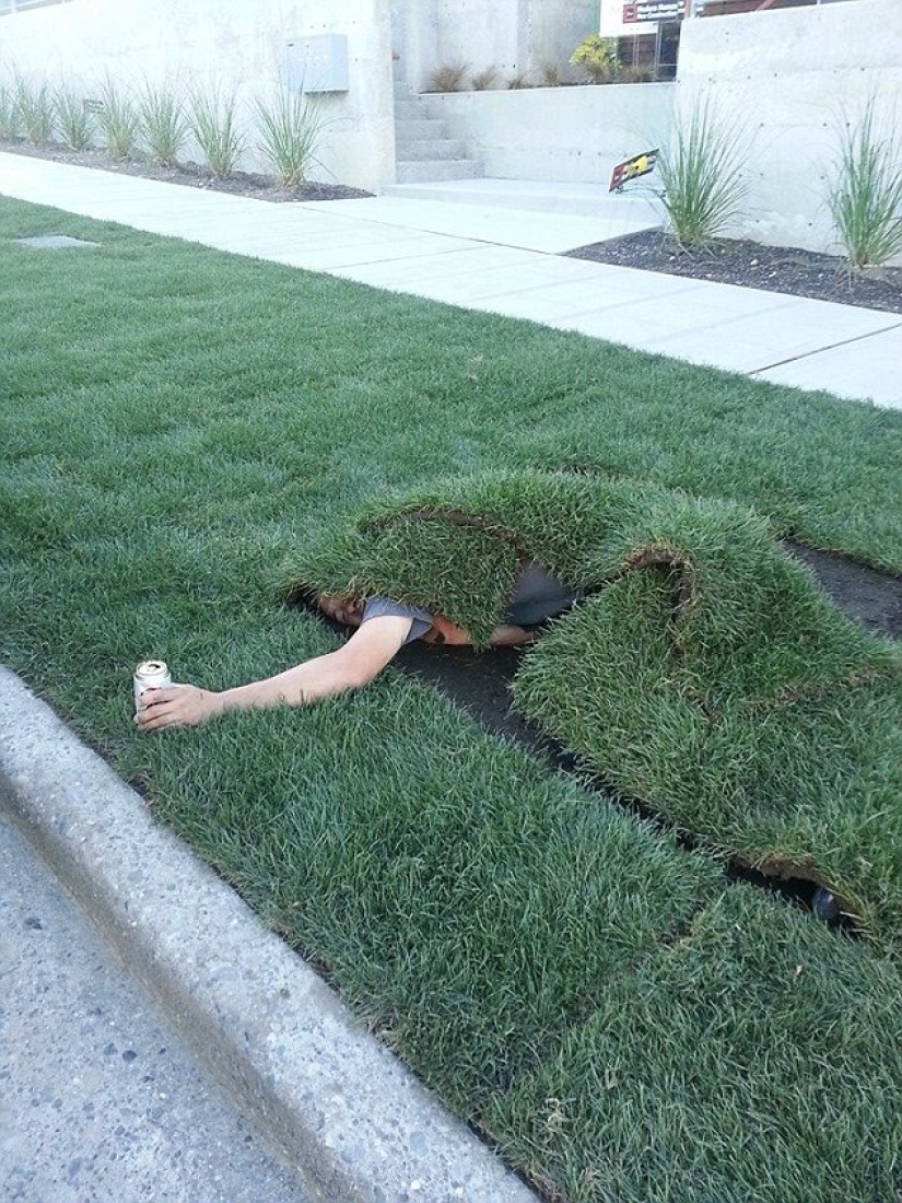 The most idiotic drunken things according to Reddit users The most idiotic drunken things according to Reddit users