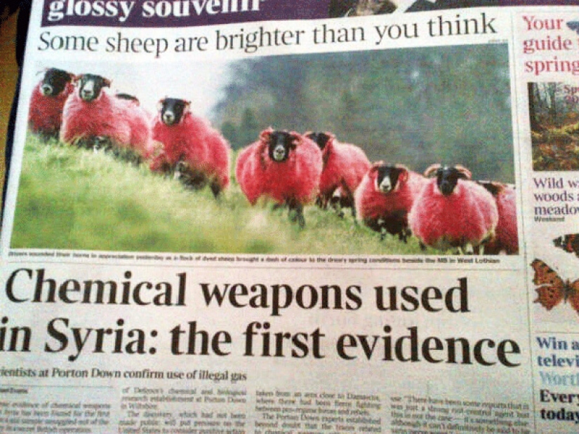 The most ridiculous failures in the history newsletter