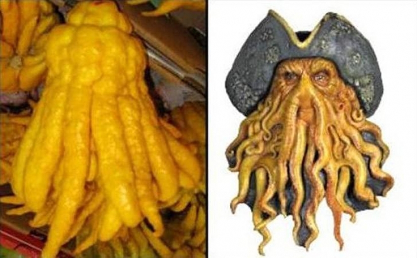 The most scary plants in the world that grow, may your house