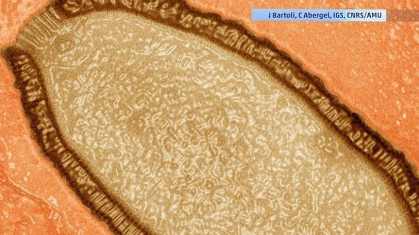 The most sensational finds ever discovered in glaciers The most sensational finds ever discovered in glaciers