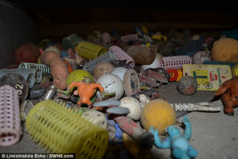 The most unexpected things that accidentally and not entirely flushed down the toilet