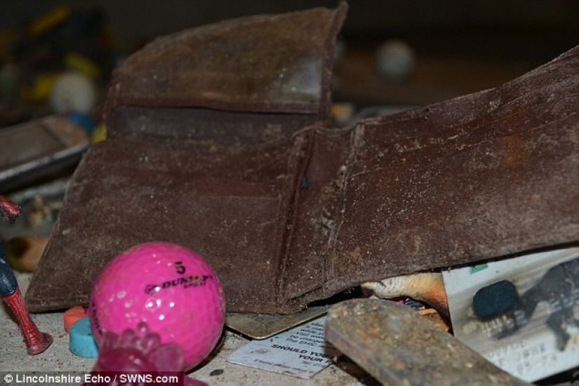 The most unexpected things that accidentally and not entirely flushed down the toilet