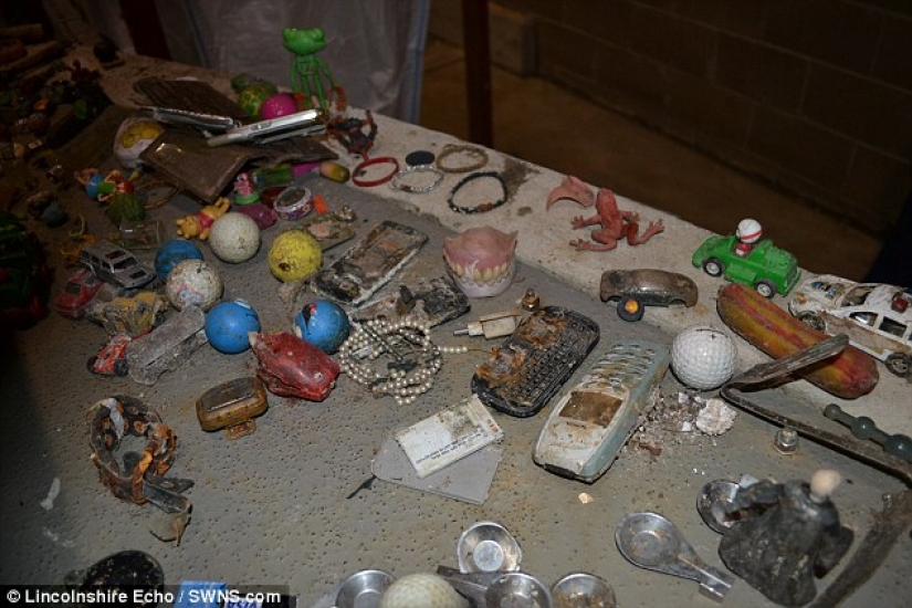 The most unexpected things that accidentally and not entirely flushed down the toilet