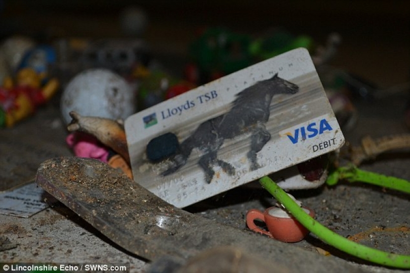 The most unexpected things that accidentally and not entirely flushed down the toilet