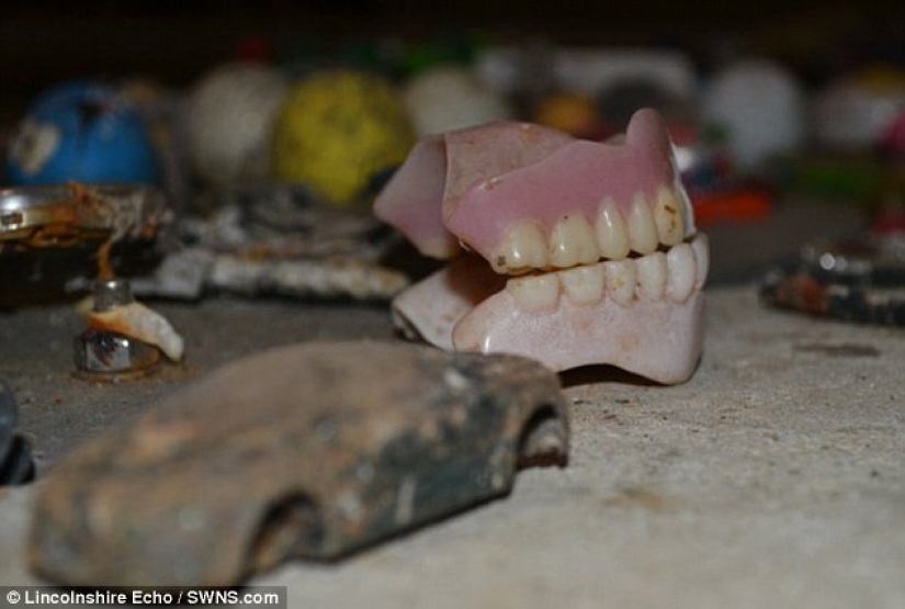 The most unexpected things that accidentally and not entirely flushed down the toilet