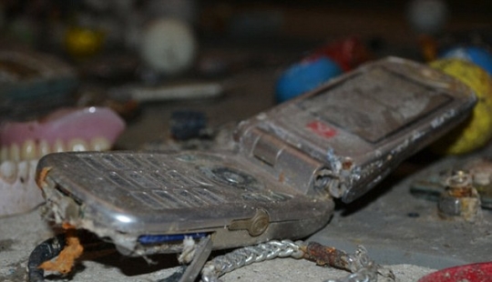 The most unexpected things that accidentally and not entirely flushed down the toilet