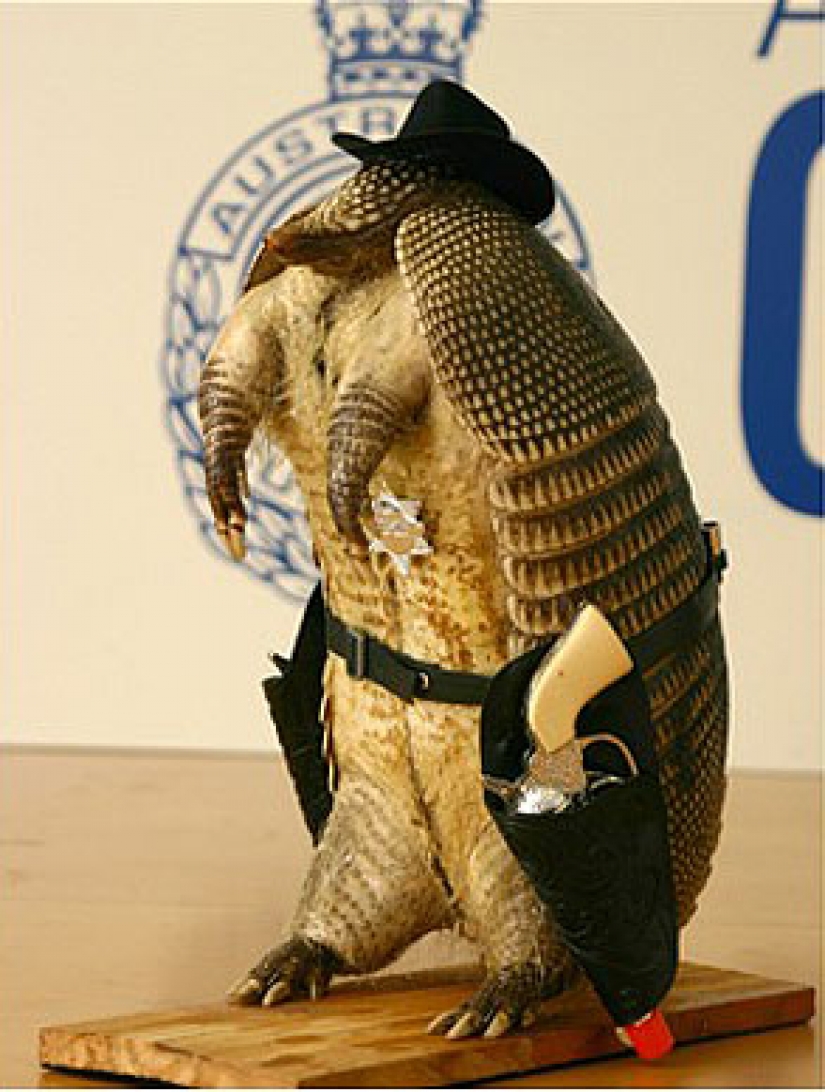 The most unusual discoveries customs officials