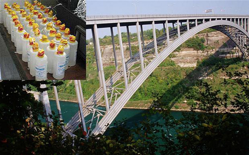 The most unusual discoveries customs officials