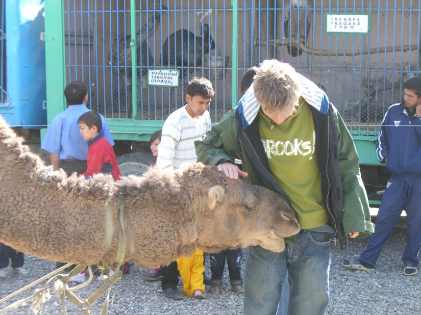 The Norwegian visited 198 countries of the world, and that's what he understood