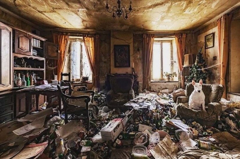 The photographer and her pit bull talk about the rules of life in the coronavirus The photographer and her pit bull talk about the rules of life in the coronavirus