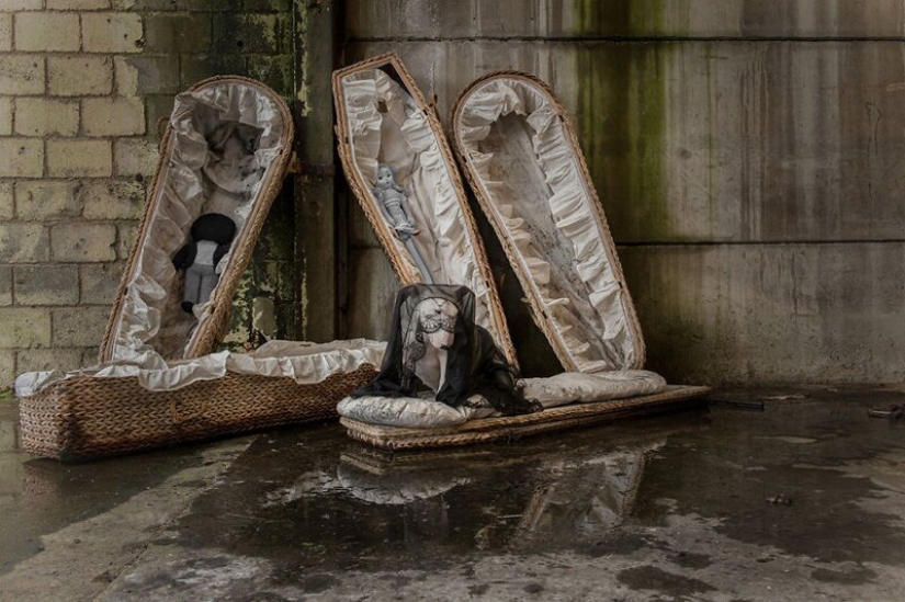 The photographer and her pit bull talk about the rules of life in the coronavirus The photographer and her pit bull talk about the rules of life in the coronavirus