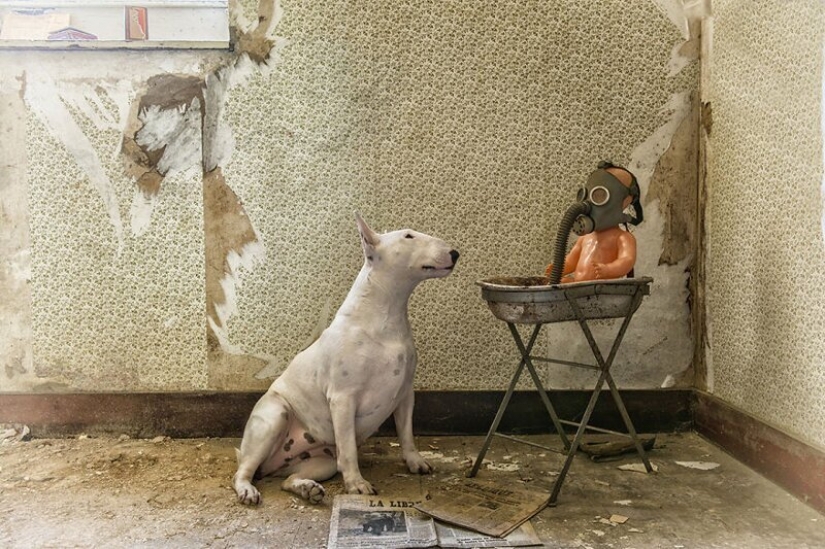 The photographer and her pit bull talk about the rules of life in the coronavirus The photographer and her pit bull talk about the rules of life in the coronavirus