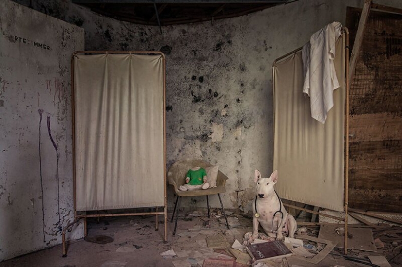 The photographer and her pit bull talk about the rules of life in the coronavirus The photographer and her pit bull talk about the rules of life in the coronavirus