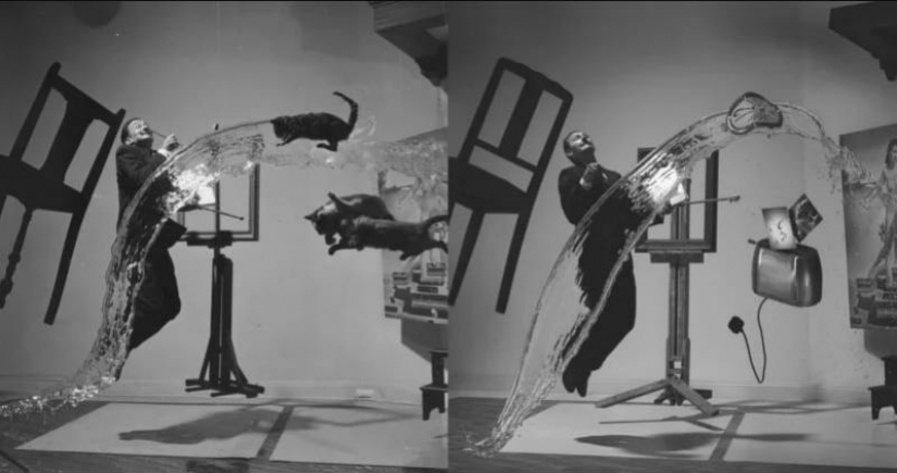 The photographer shot the iconic photo of Salvador Dali, replacing the cats with a toaster