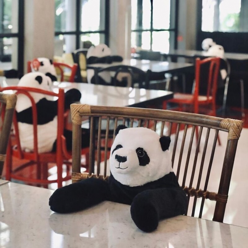 The restaurant Bangkok pandas help people keep a distance