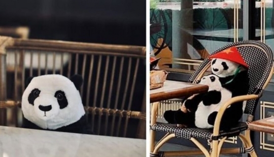 The restaurant Bangkok pandas help people keep a distance