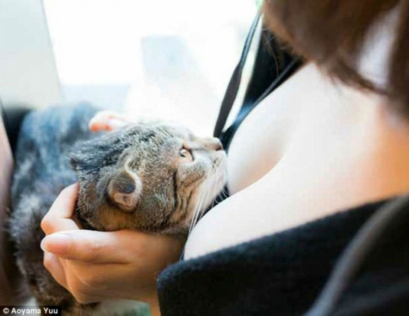 The seals and the breast: the soothing album by Japanese photographer The seals and the breast: the soothing album by Japanese photographer