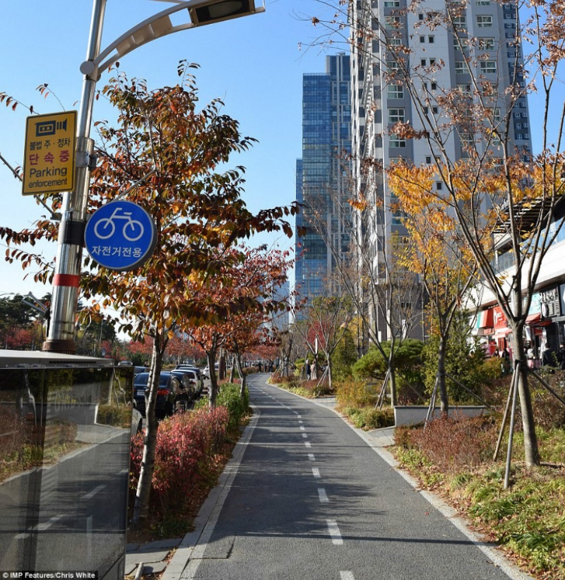 The smart city of the future in which no one lives: how fell the most ambitious construction project in Asia