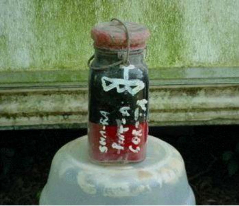 The strangest things ever sold on eBay