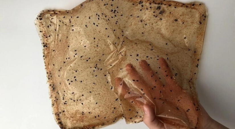 The student made edible packaging for noodles, which transformirovalsya in the sauce