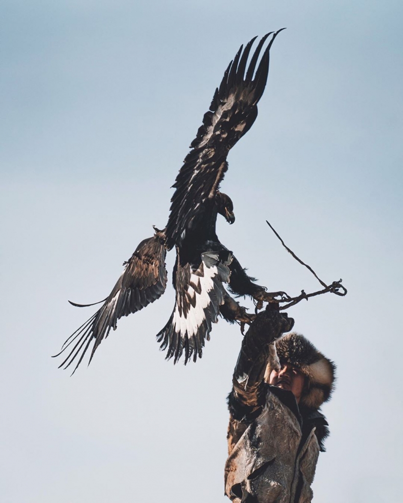 The Union of the man and the birds: 7 stunning photos of falconry in Mongolia
