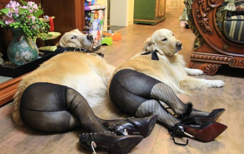 The whole truth about life in China first hand The whole truth about life in China first hand