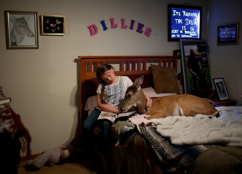 The world Amelia — a girl and her animals The world Amelia — a girl and her animals