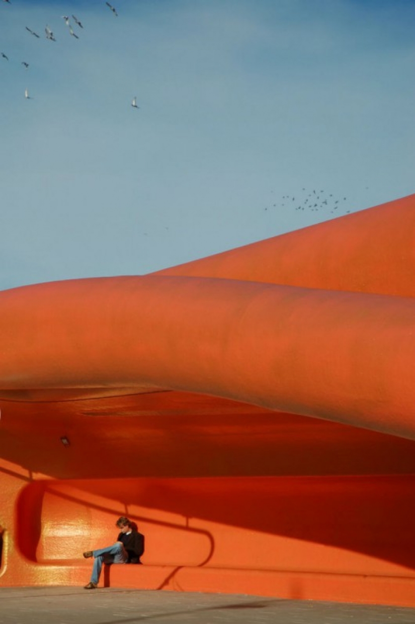 The world's coolest bus stop, where you will want to wait for the bus forever The world's coolest bus stop, where you will want to wait for the bus forever