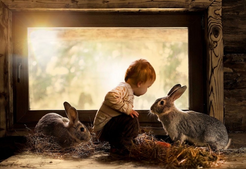 They don't need words to communicate They don't need words to communicate