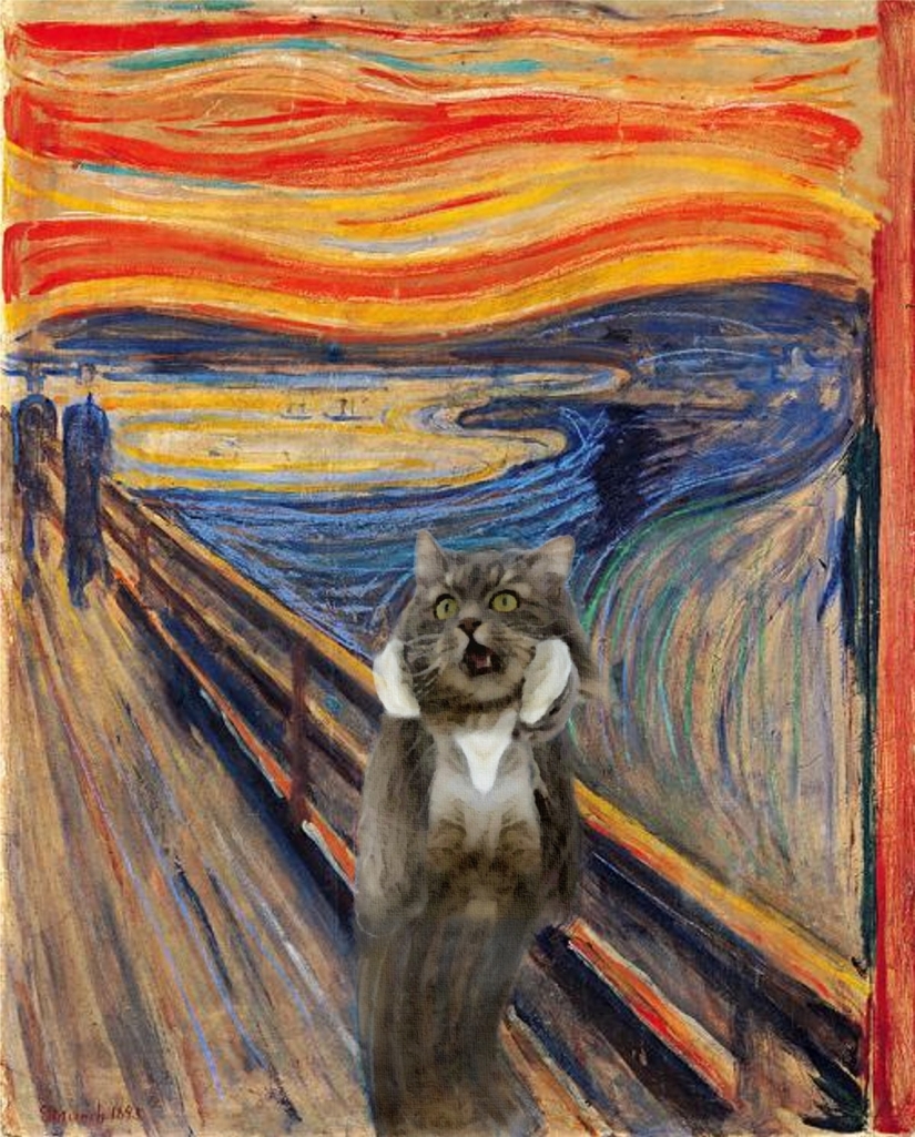 This is epic! Cat in the window became a hero of the battle fotoshoperov